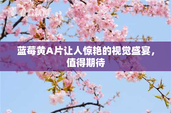 蓝莓黄A片让人惊艳的视觉盛宴，值得期待