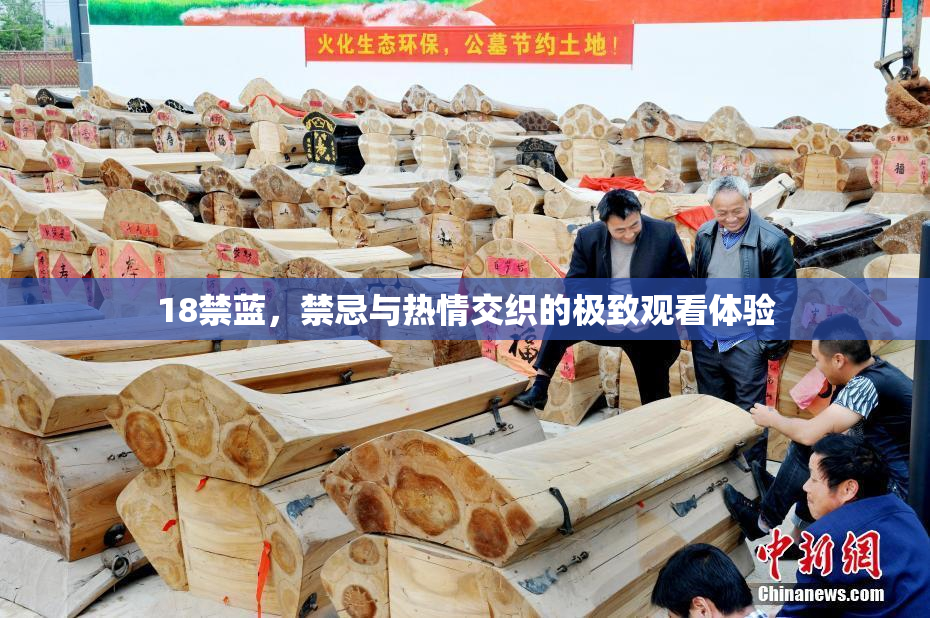 18禁蓝，禁忌与热情交织的极致观看体验