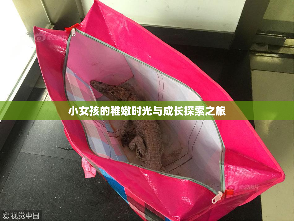 小女孩的稚嫩时光与成长探索之旅