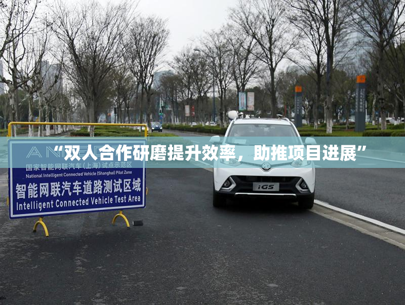 “双人合作研磨提升效率，助推项目进展”