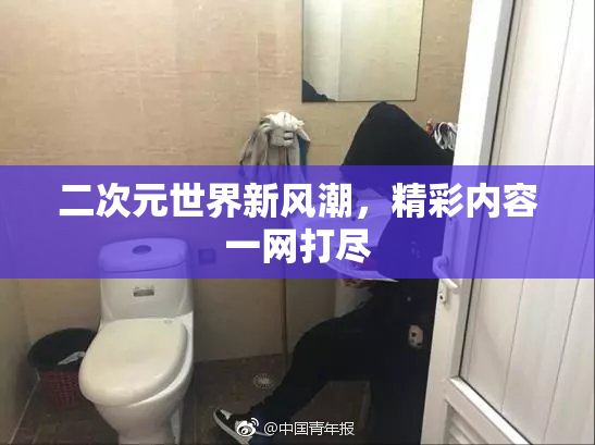 二次元世界新风潮，精彩内容一网打尽
