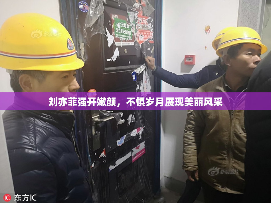 刘亦菲强开嫩颜，不惧岁月展现美丽风采