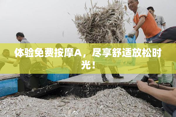 体验免费按摩A，尽享舒适放松时光！