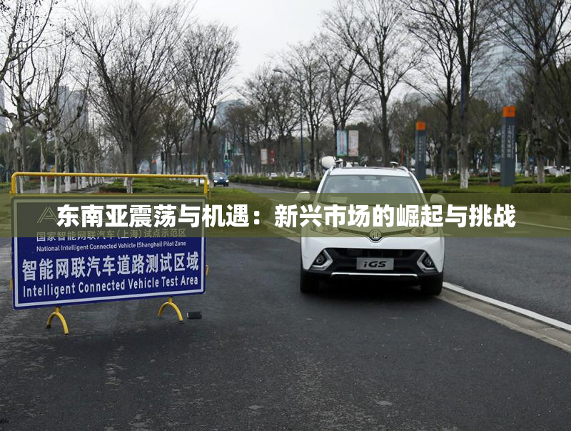 东南亚震荡与机遇：新兴市场的崛起与挑战