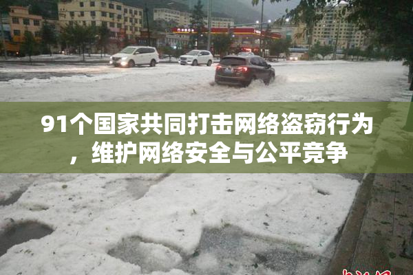 91个国家共同打击网络盗窃行为，维护网络安全与公平竞争