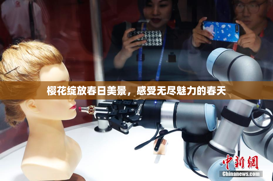 樱花绽放春日美景，感受无尽魅力的春天