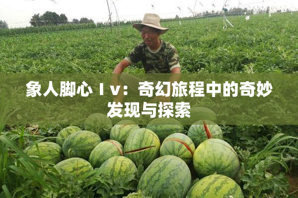 象人脚心Ⅰv：奇幻旅程中的奇妙发现与探索
