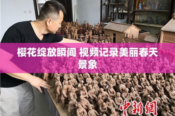 樱花绽放瞬间 视频记录美丽春天景象