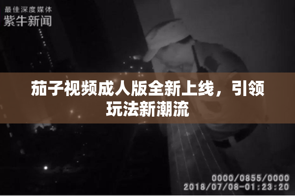 茄子视频成人版全新上线，引领玩法新潮流