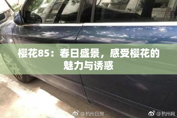 樱花85：春日盛景，感受樱花的魅力与诱惑