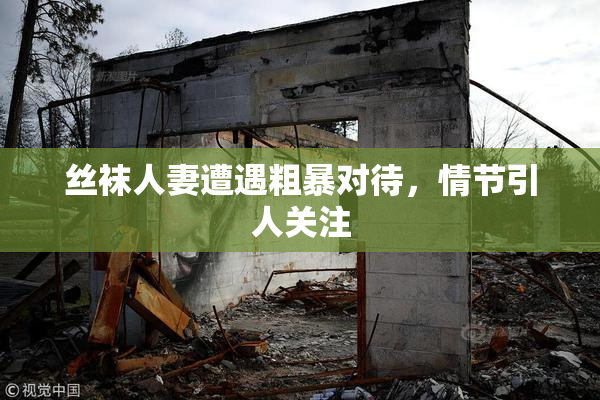 丝袜人妻遭遇粗暴对待，情节引人关注
