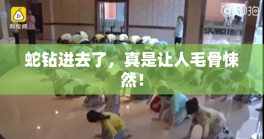 蛇钻进去了，真是让人毛骨悚然！
