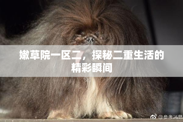 嫩草院一区二，探秘二重生活的精彩瞬间