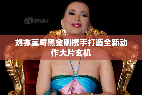 刘亦菲与黑金刚携手打造全新动作大片玄机