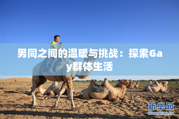 男同之间的温暖与挑战：探索Gay群体生活