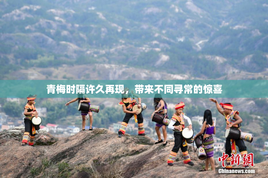 青梅时隔许久再现，带来不同寻常的惊喜