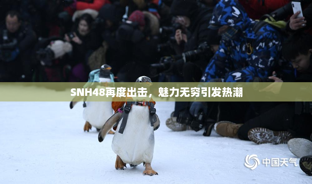 SNH48再度出击，魅力无穷引发热潮