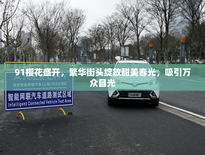91樱花盛开，繁华街头绽放甜美春光，吸引万众目光