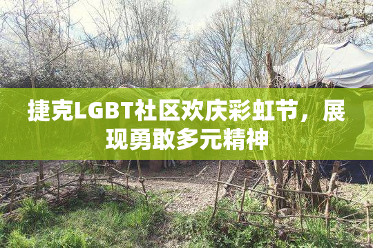 捷克LGBT社区欢庆彩虹节，展现勇敢多元精神