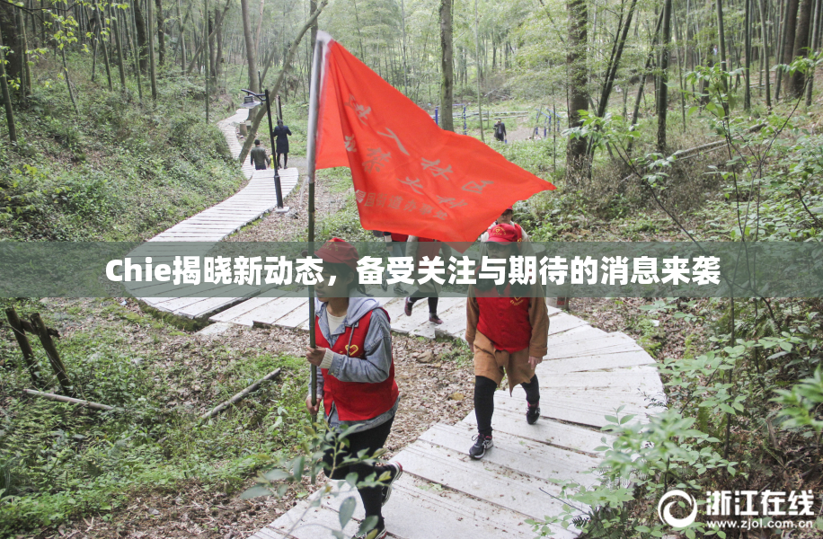 Chie揭晓新动态，备受关注与期待的消息来袭