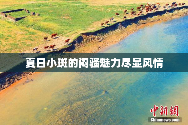 夏日小斑的闷骚魅力尽显风情