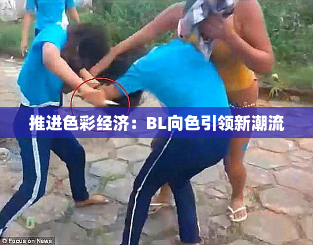 推进色彩经济：BL向色引领新潮流