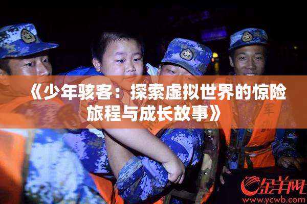 《少年骇客：探索虚拟世界的惊险旅程与成长故事》