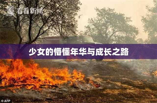 少女的懵懂年华与成长之路
