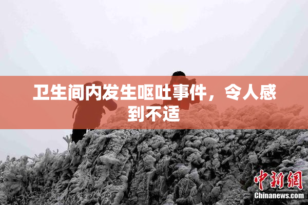 卫生间内发生呕吐事件，令人感到不适