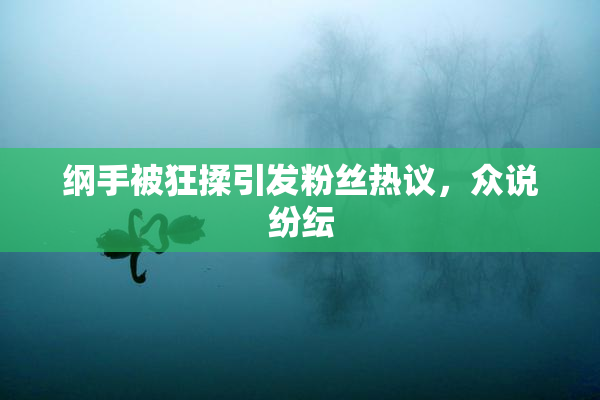 纲手被狂揉引发粉丝热议，众说纷纭