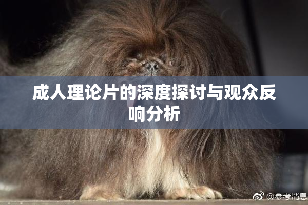 成人理论片的深度探讨与观众反响分析