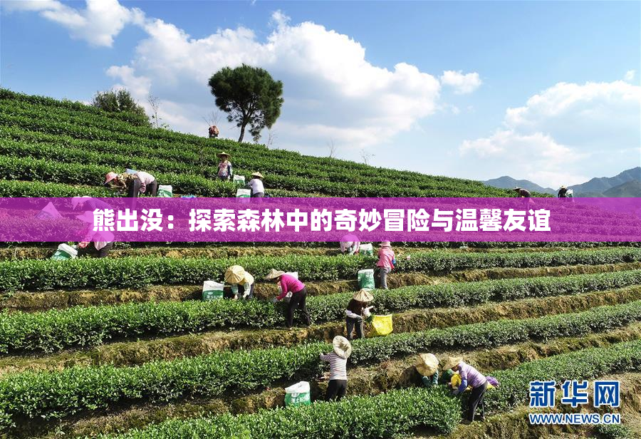熊出没：探索森林中的奇妙冒险与温馨友谊