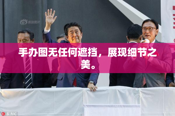手办图无任何遮挡，展现细节之美。