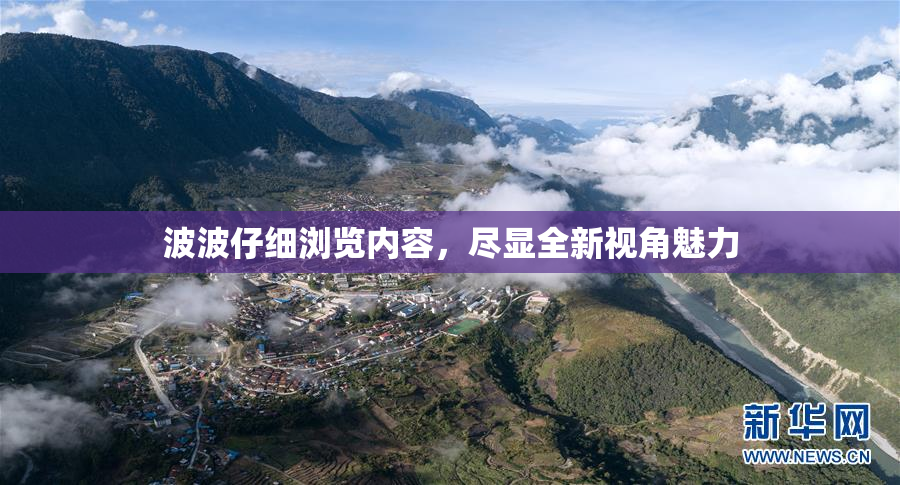 波波仔细浏览内容，尽显全新视角魅力