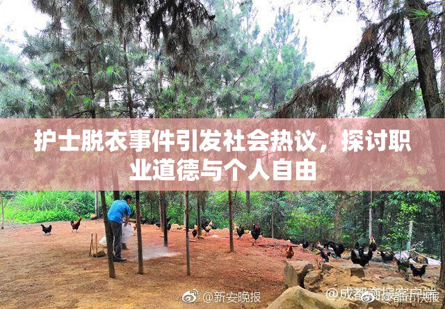 护士脱衣事件引发社会热议，探讨职业道德与个人自由
