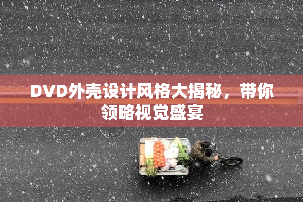 DVD外壳设计风格大揭秘，带你领略视觉盛宴