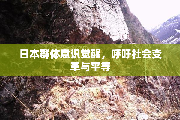 日本群体意识觉醒，呼吁社会变革与平等