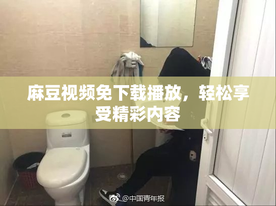 麻豆视频免下载播放，轻松享受精彩内容