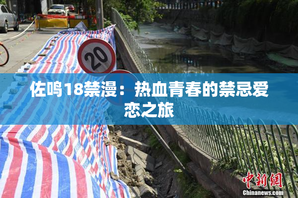 佐鸣18禁漫：热血青春的禁忌爱恋之旅