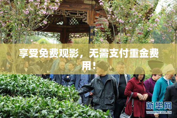 享受免费观影，无需支付重金费用！