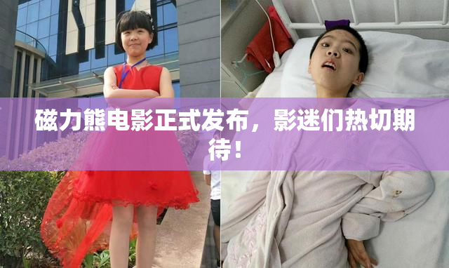 磁力熊电影正式发布，影迷们热切期待！