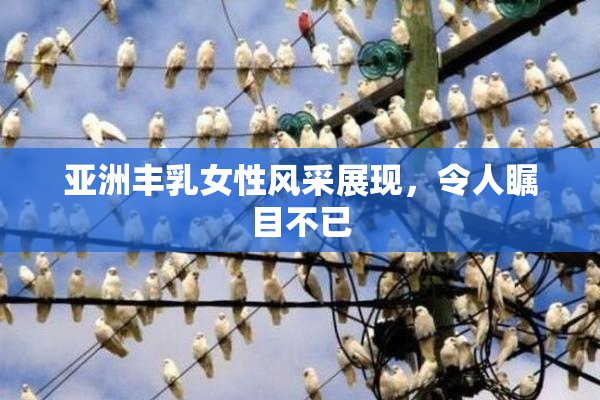 亚洲丰乳女性风采展现，令人瞩目不已