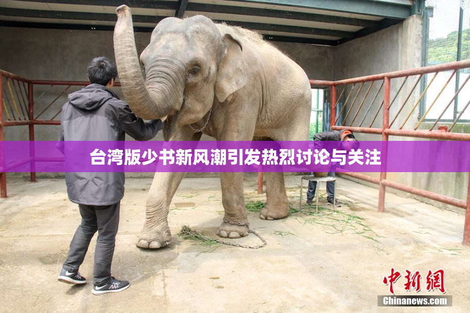 台湾版少书新风潮引发热烈讨论与关注