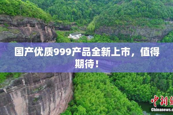 国产优质999产品全新上市，值得期待！