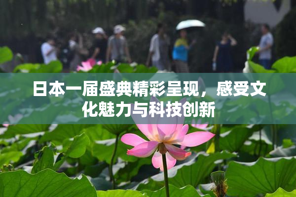 日本一届盛典精彩呈现，感受文化魅力与科技创新