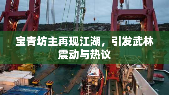 宝青坊主再现江湖，引发武林震动与热议