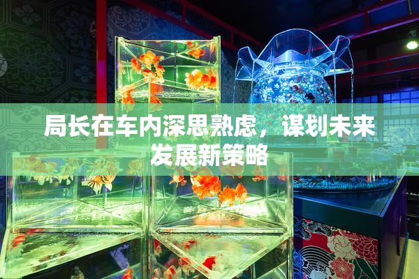 局长在车内深思熟虑，谋划未来发展新策略