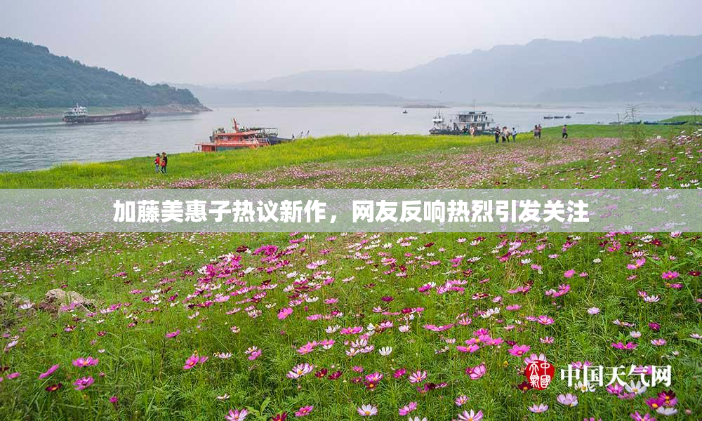 加藤美惠子热议新作，网友反响热烈引发关注