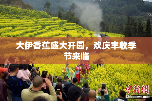 大伊香蕉盛大开园，欢庆丰收季节来临