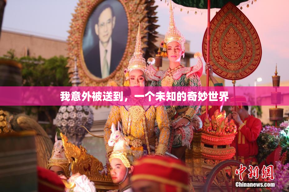 我意外被送到，一个未知的奇妙世界